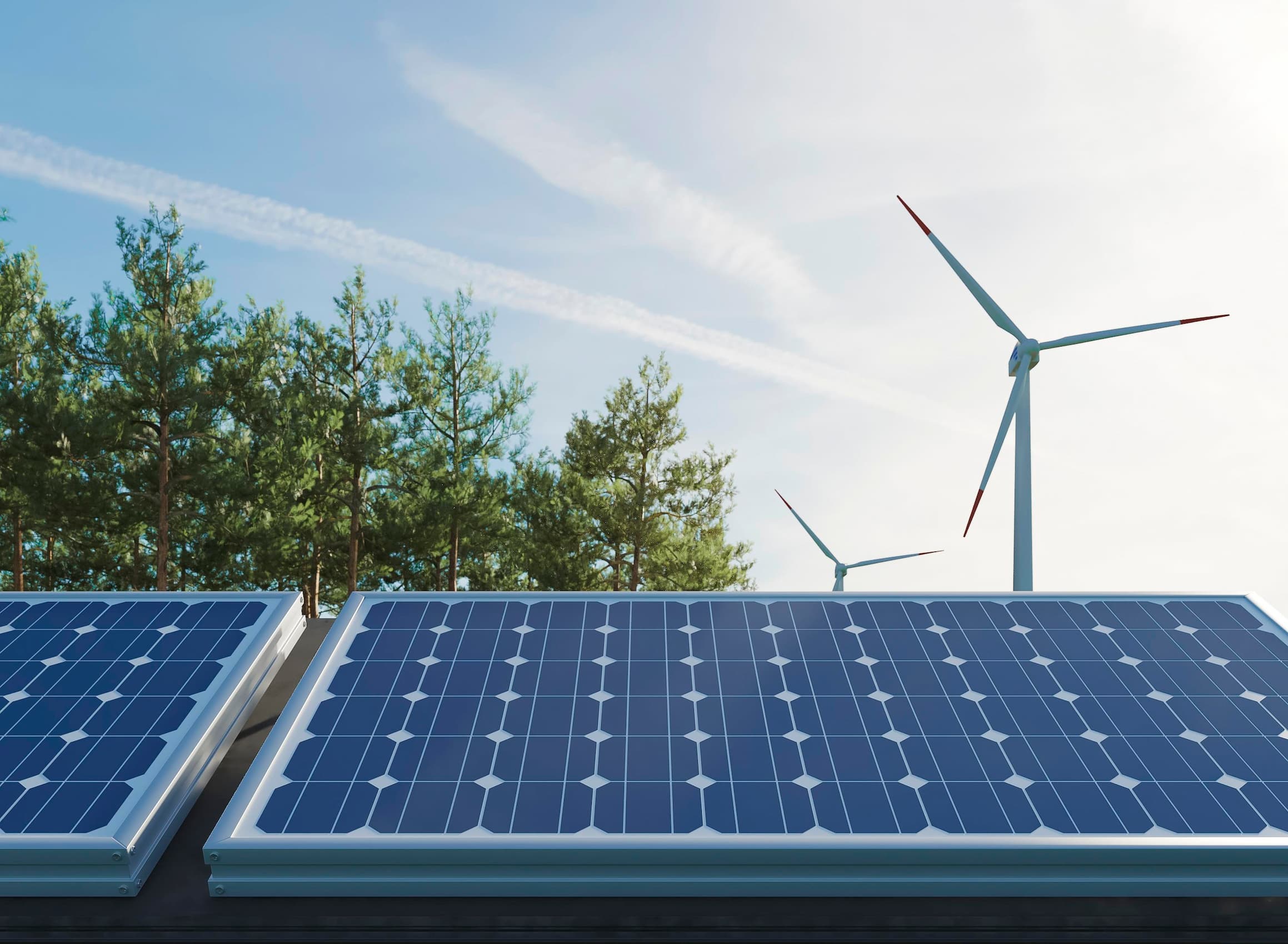 Renewable energy The environmentals